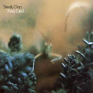 KATY LIED